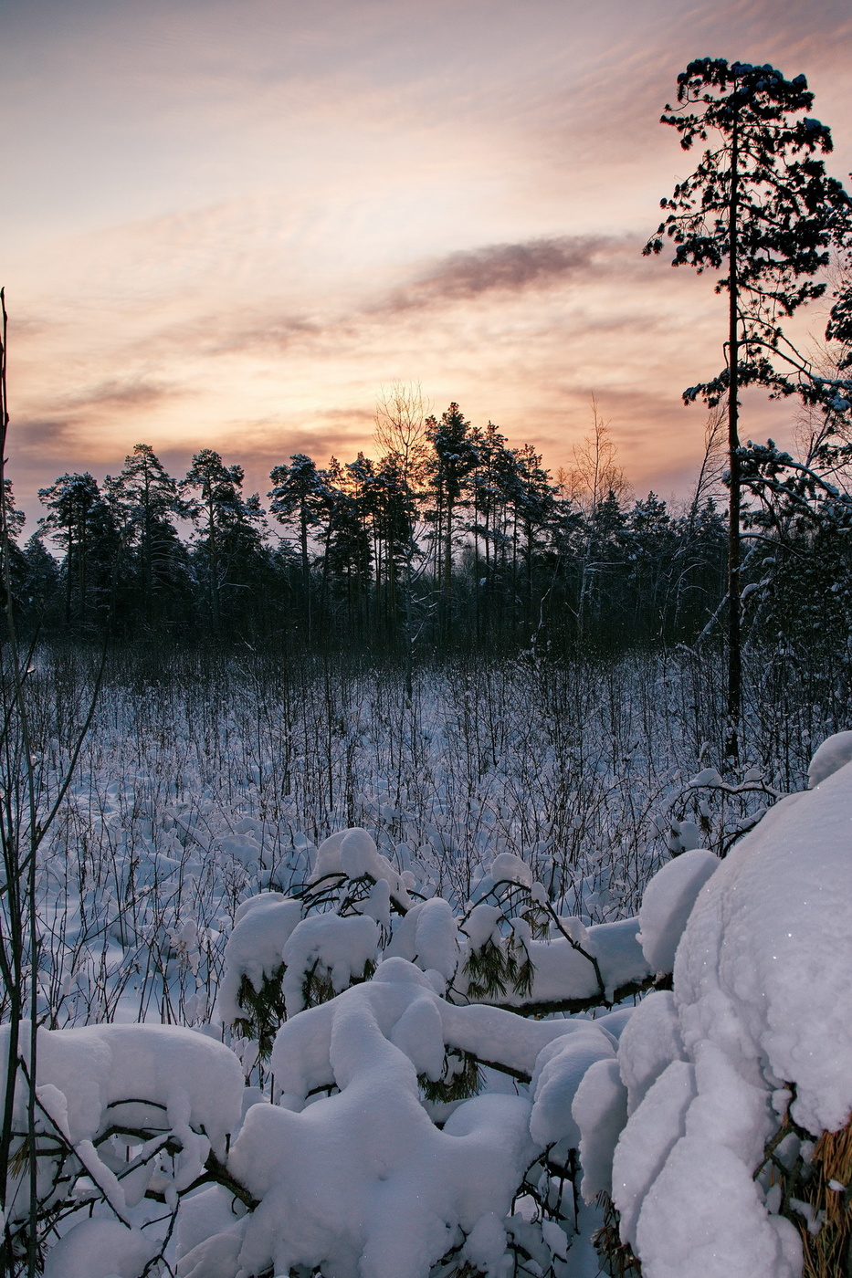 Ноябрьские сумерки.