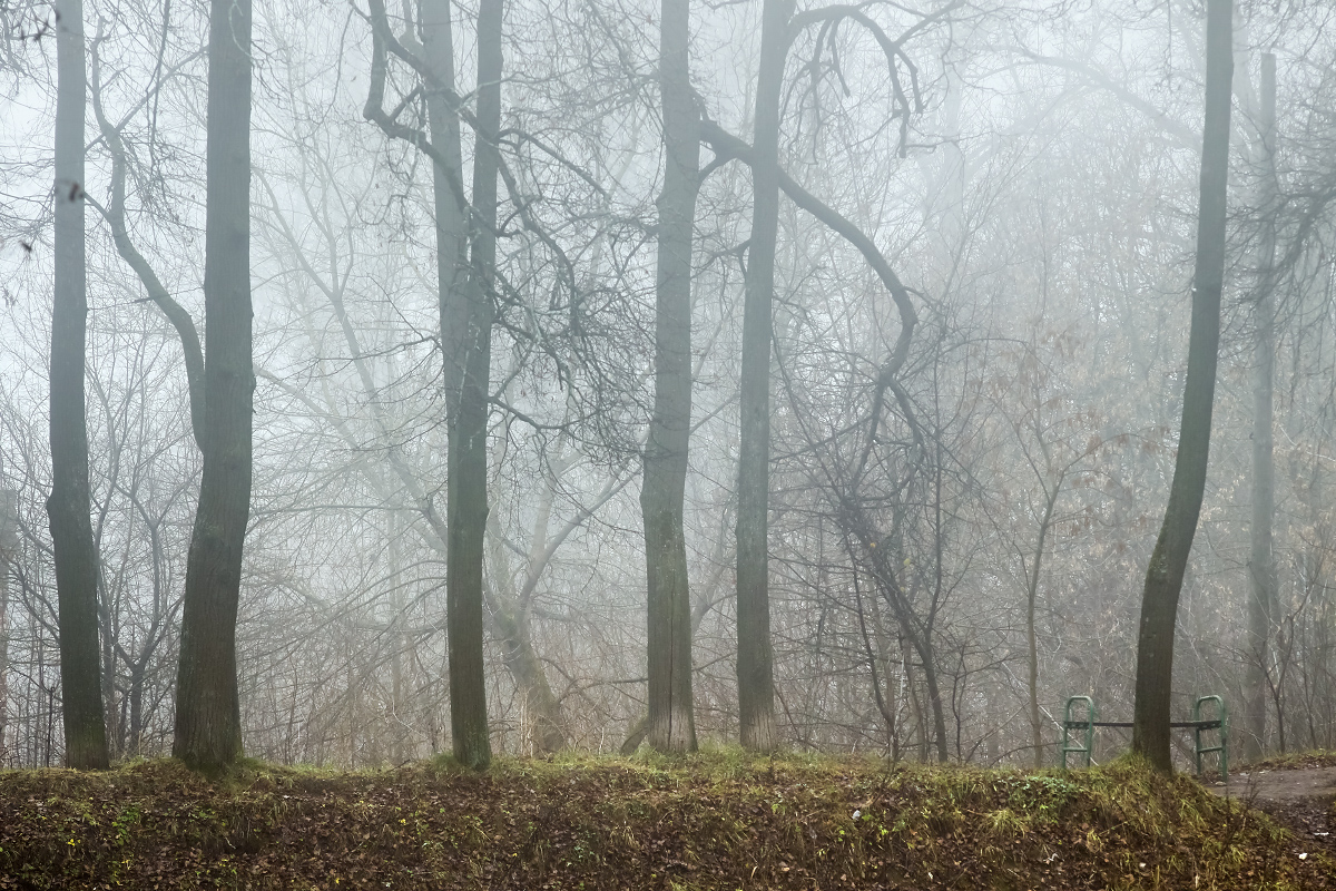 Межсезонье