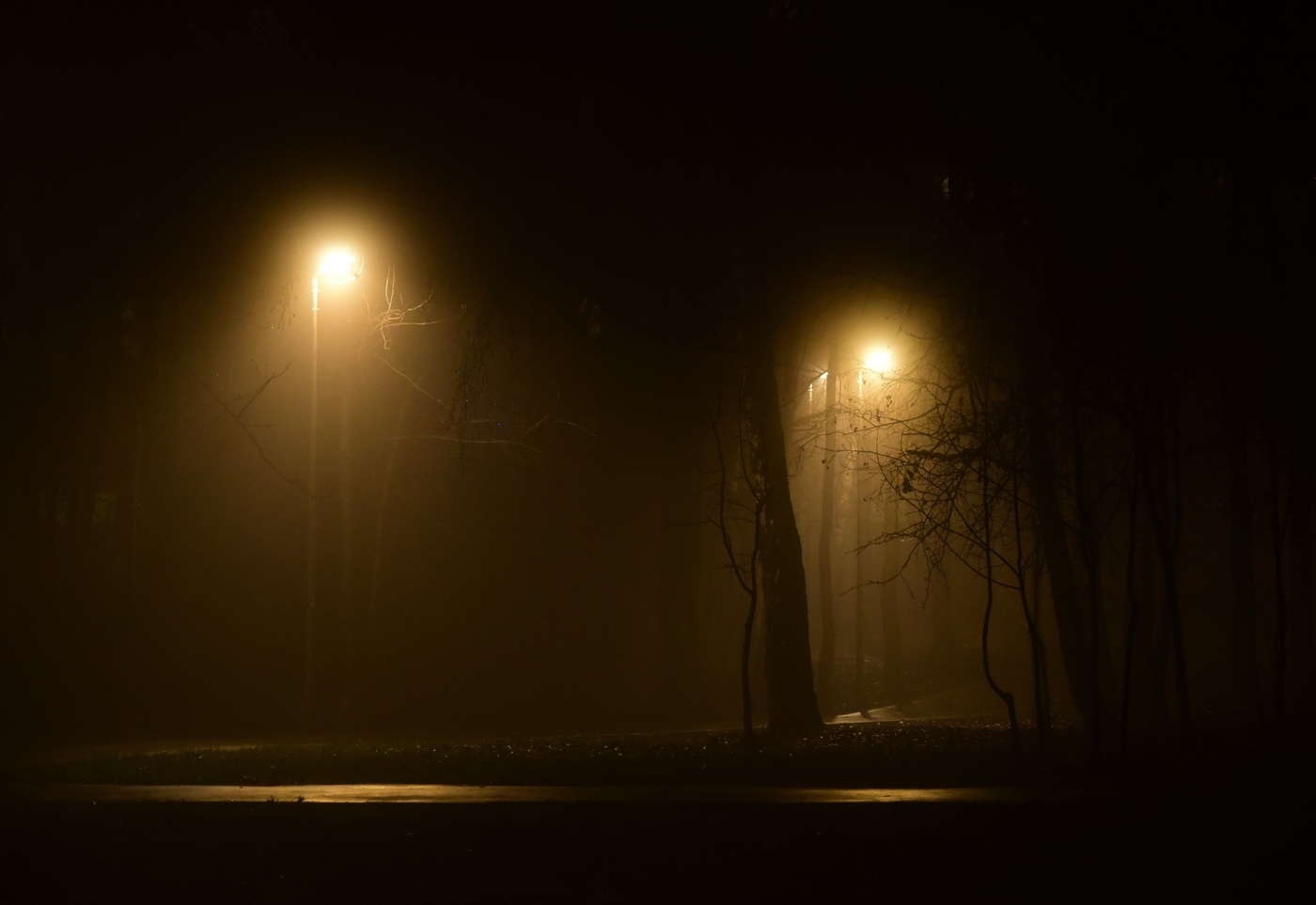 "Ночная тьма чарующе прекрасна ..."