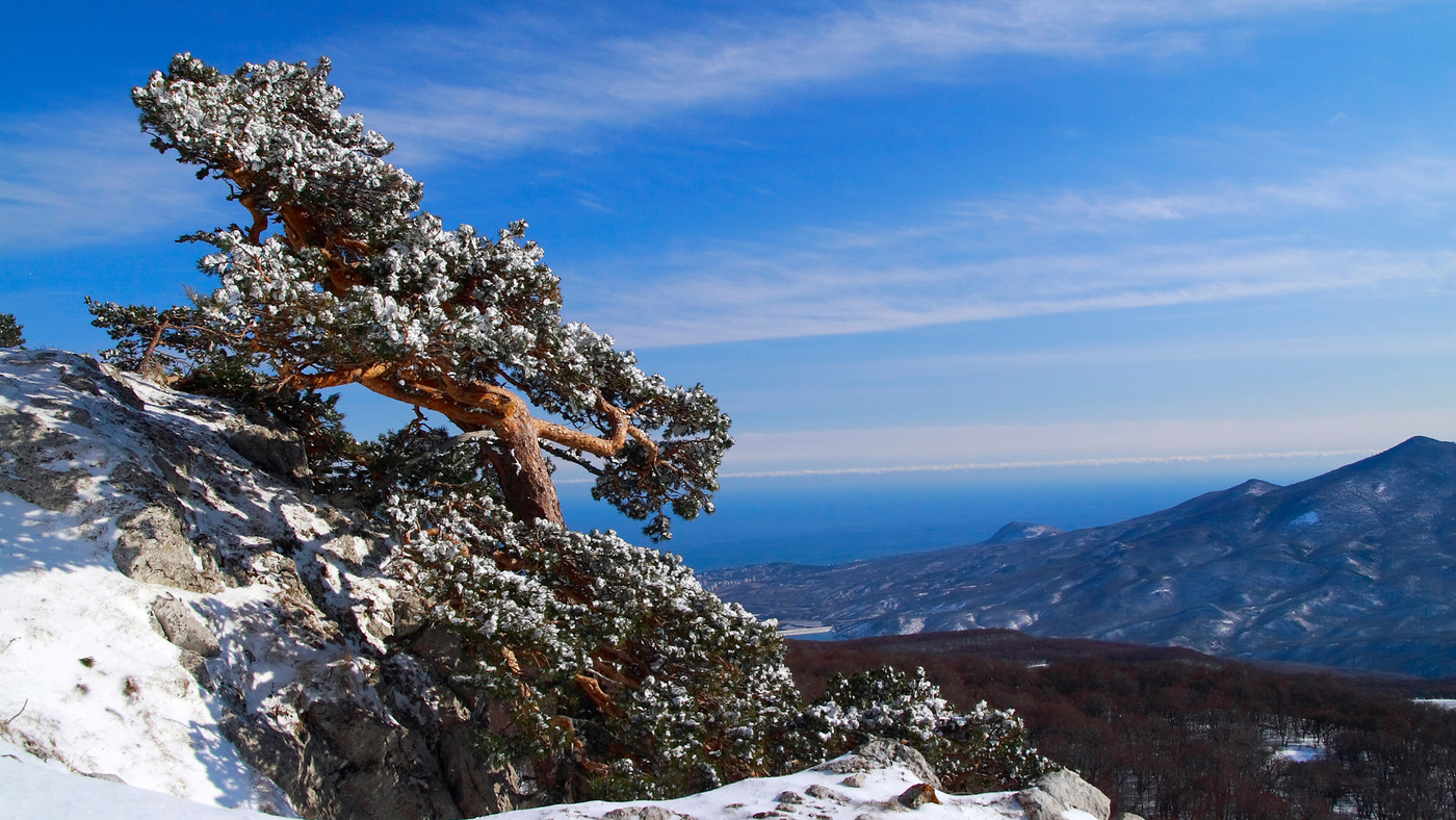 С видом на ЮБК