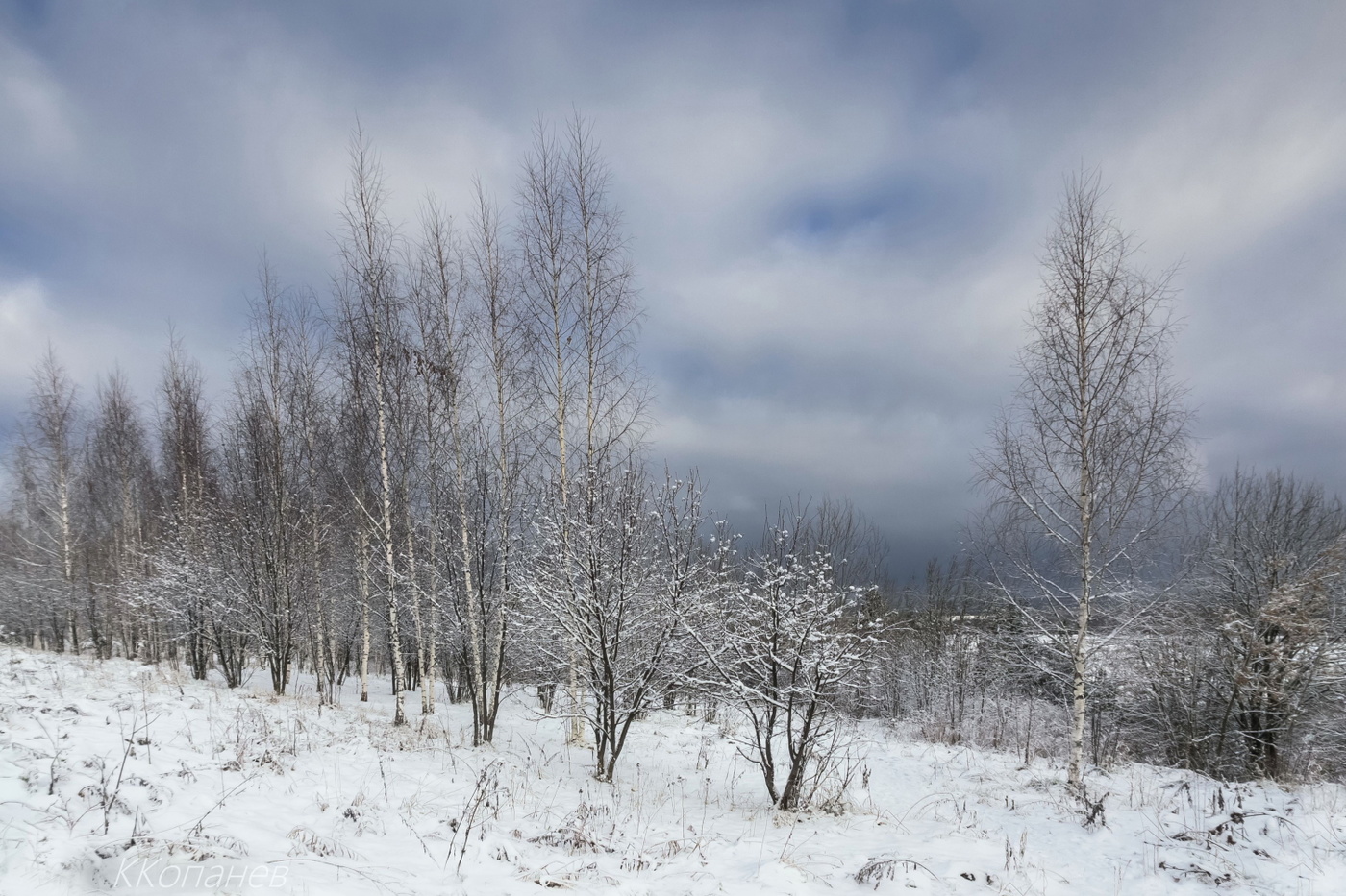 Зимние ритмы