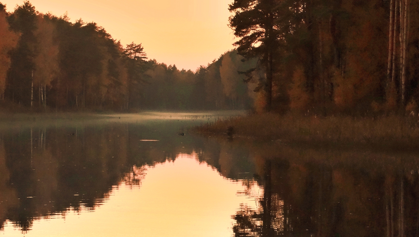 Осень, вечер, тишина