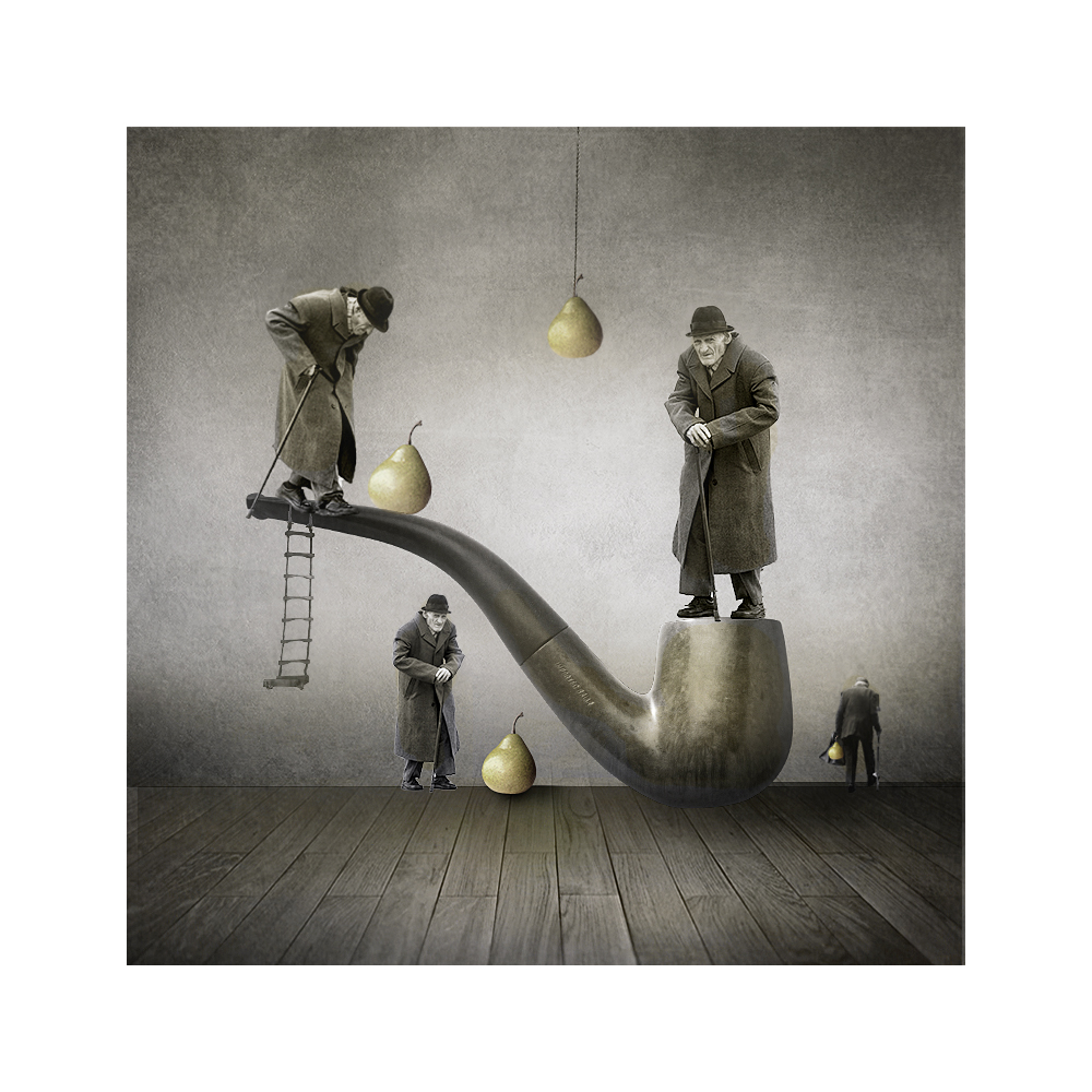 сборщики урожая