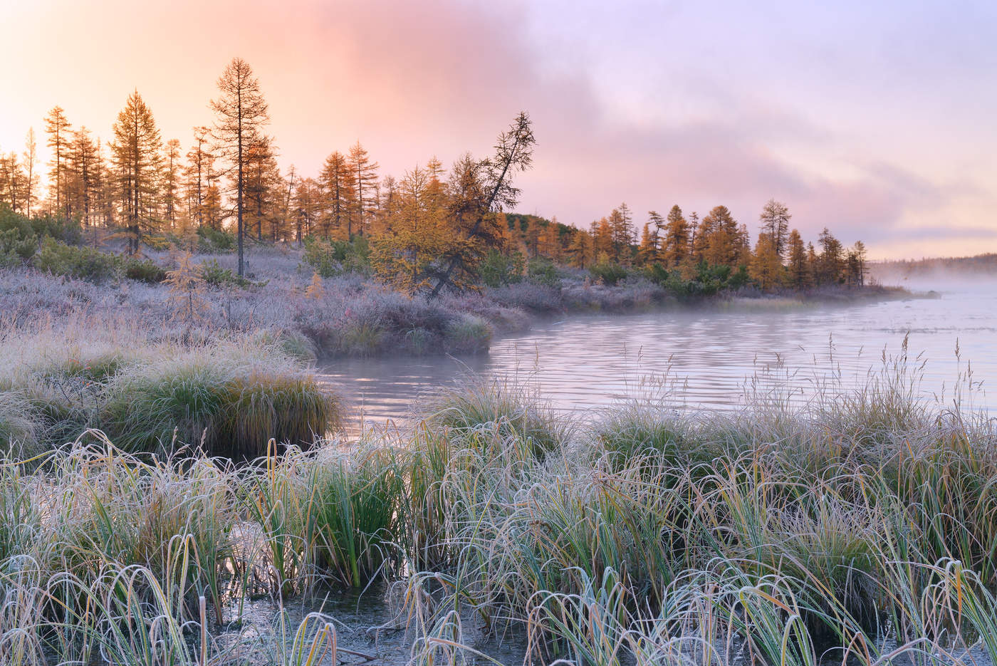 Зазимки на Джеке