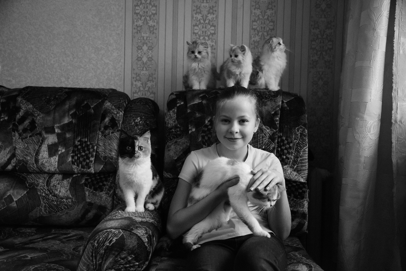 Половинчатый