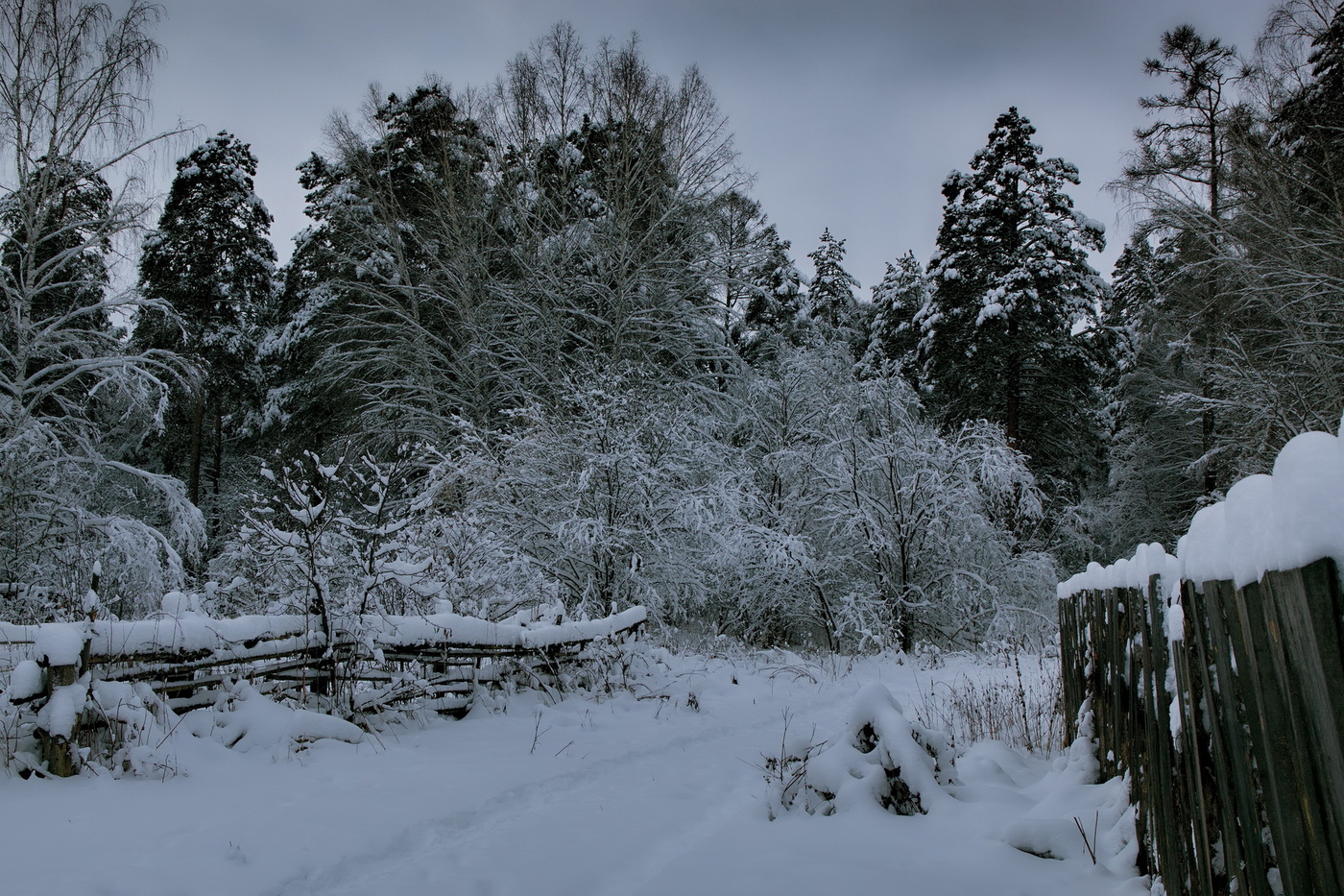 Ритмы зимы.