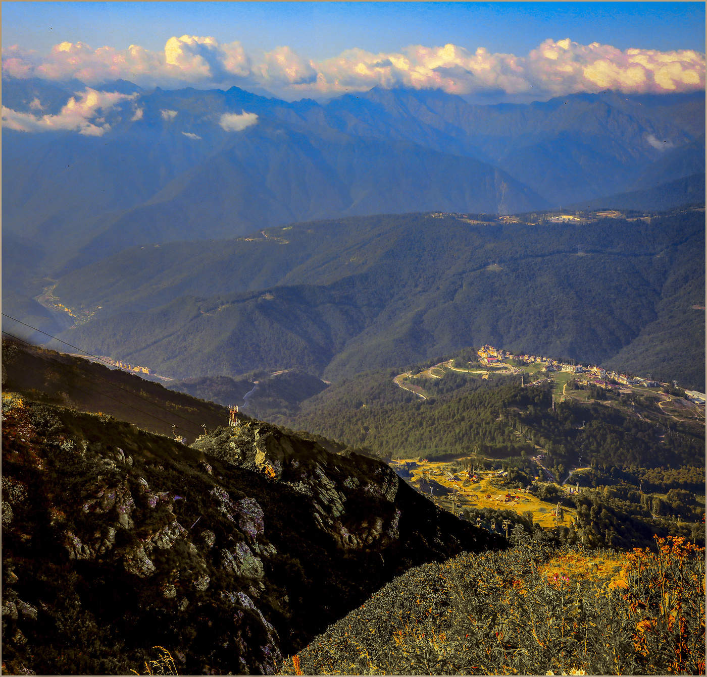 Птица счастья ...