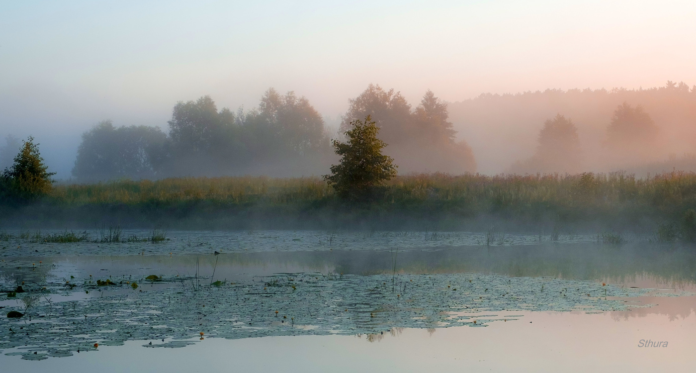 Утренняя тишина.