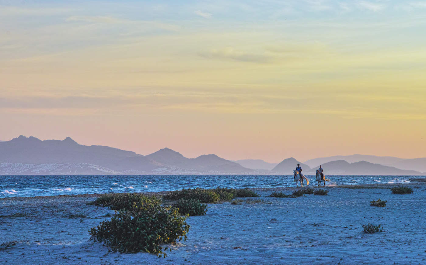 Романтичная прогулка
