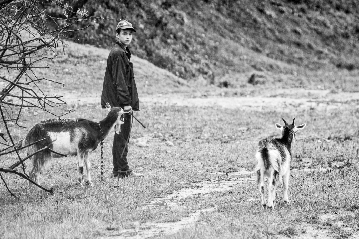 Не мой взгляд