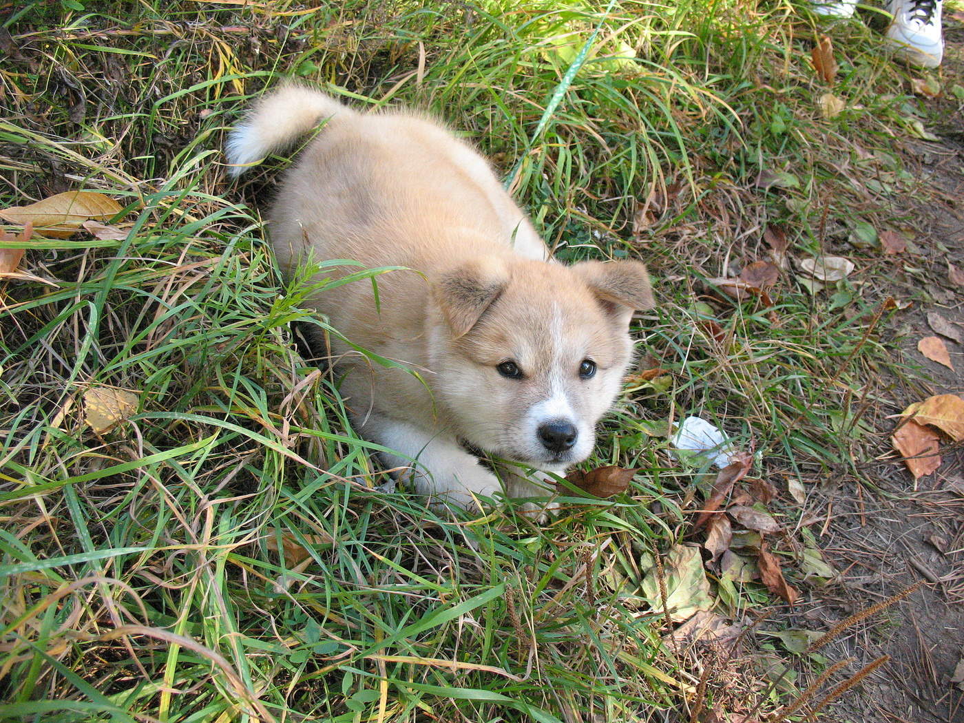 Не мой взгляд