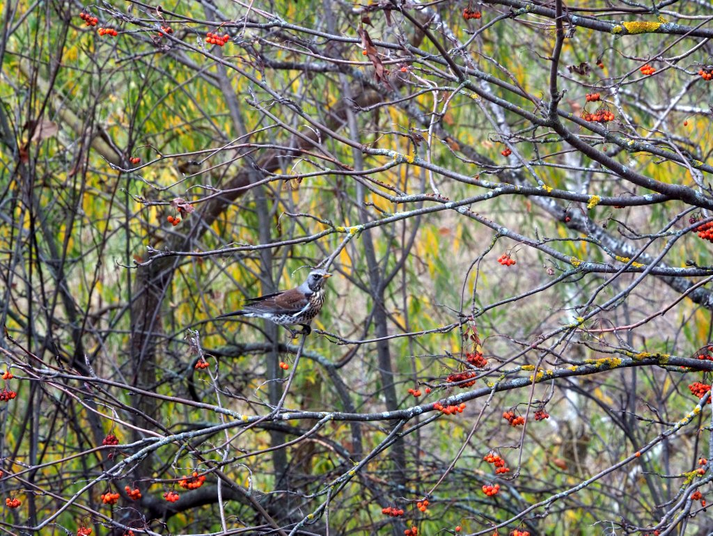 Не мой взгляд