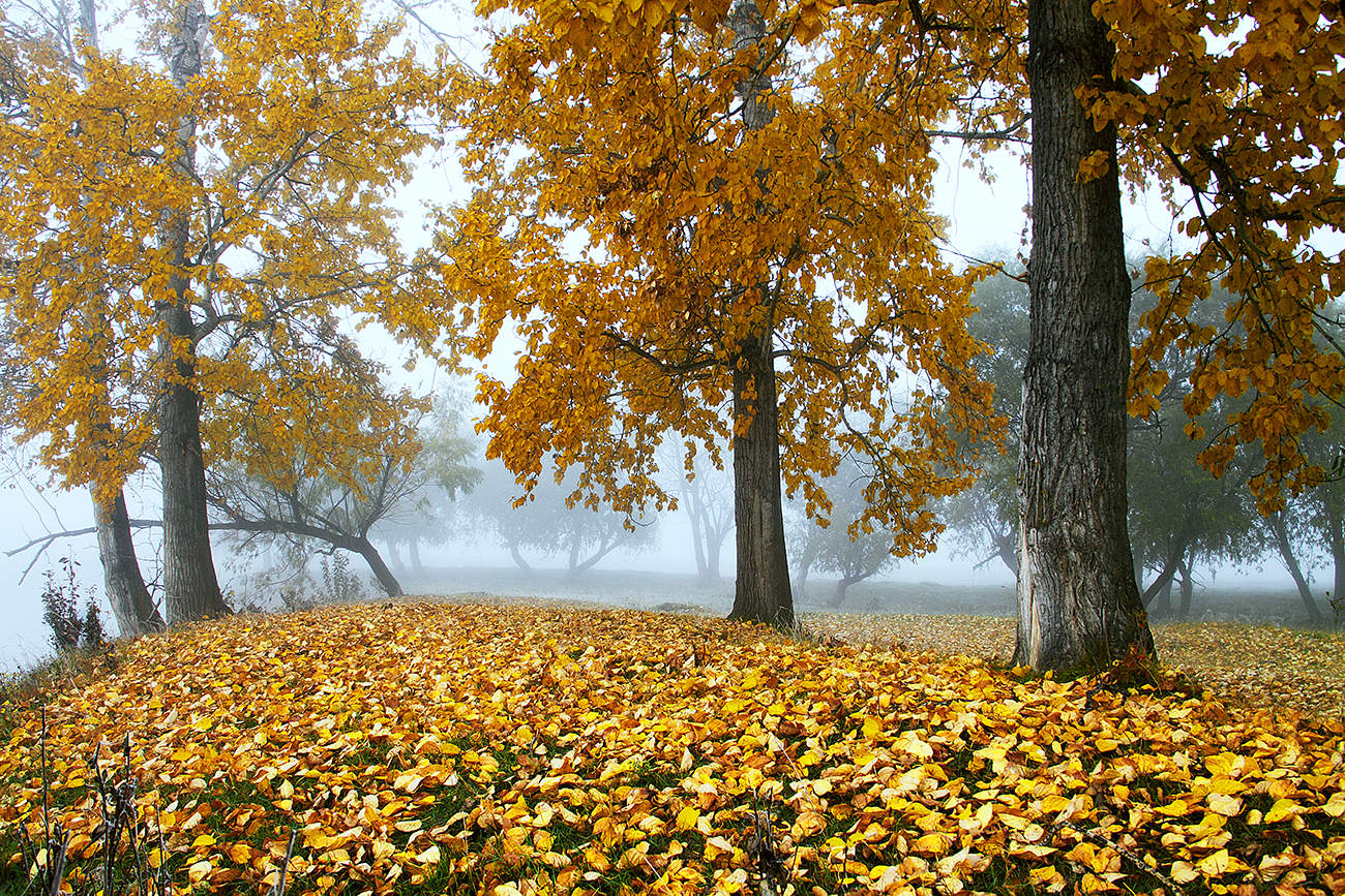 Цветная осень