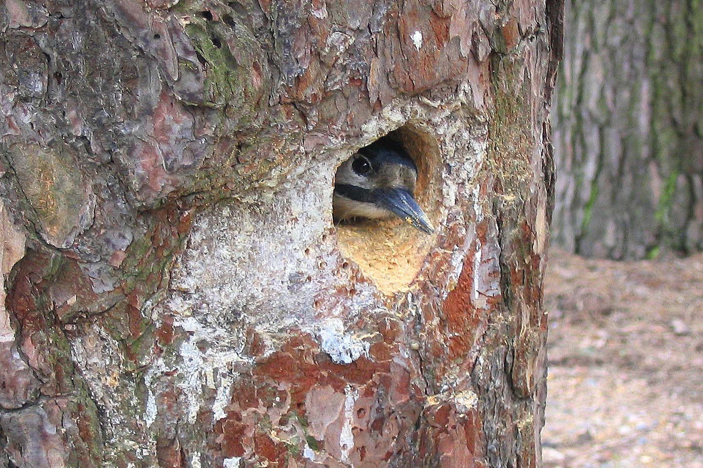 Не мой взгляд