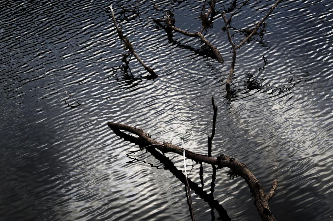 перед дождем