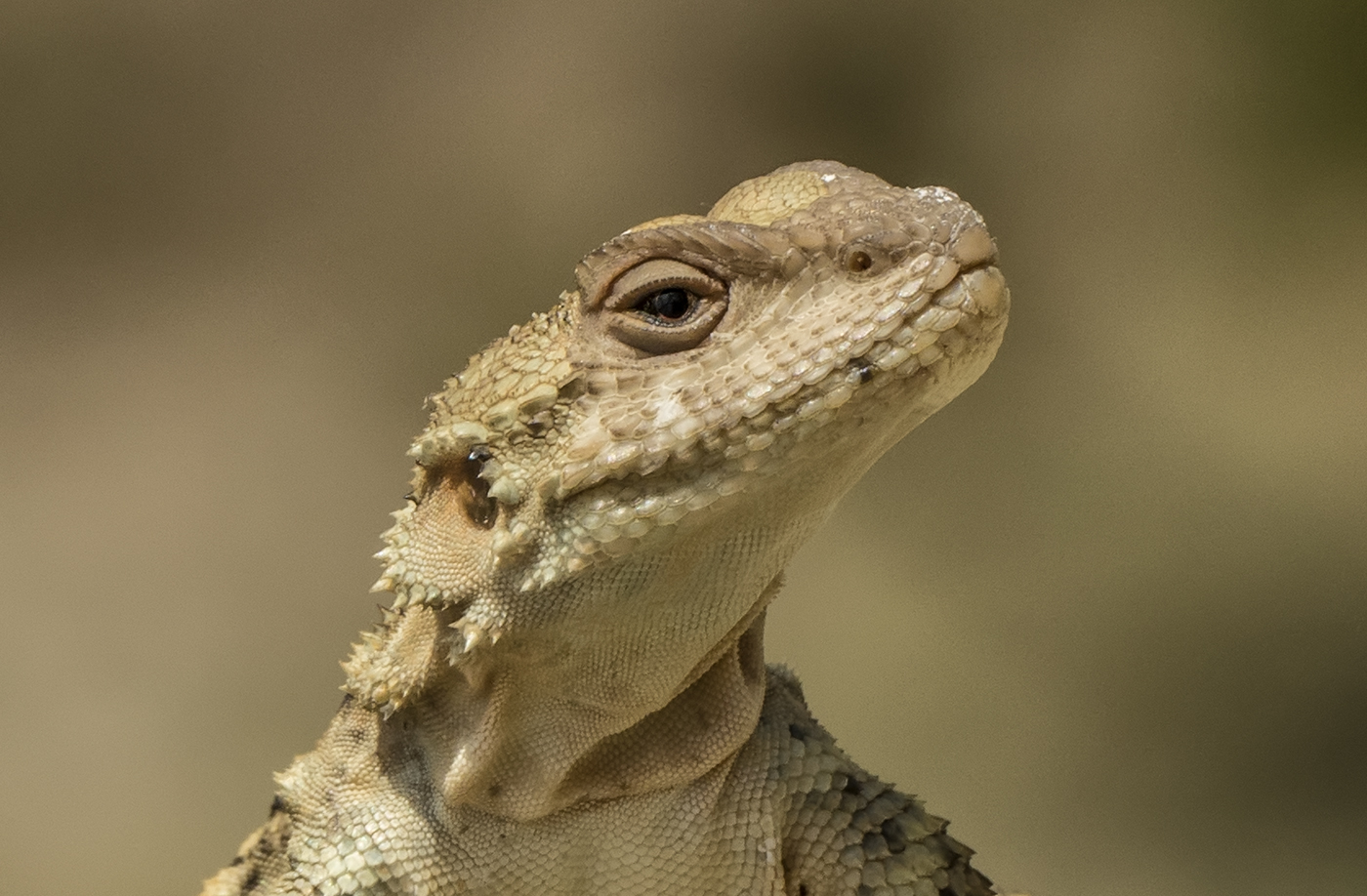 Не мой взгляд