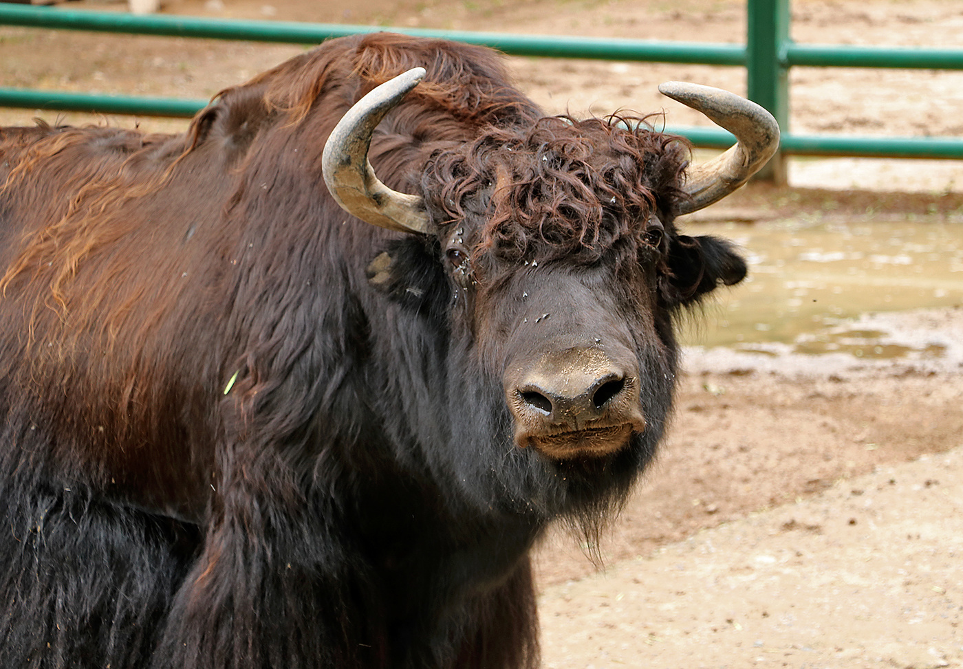 Не мой взгляд