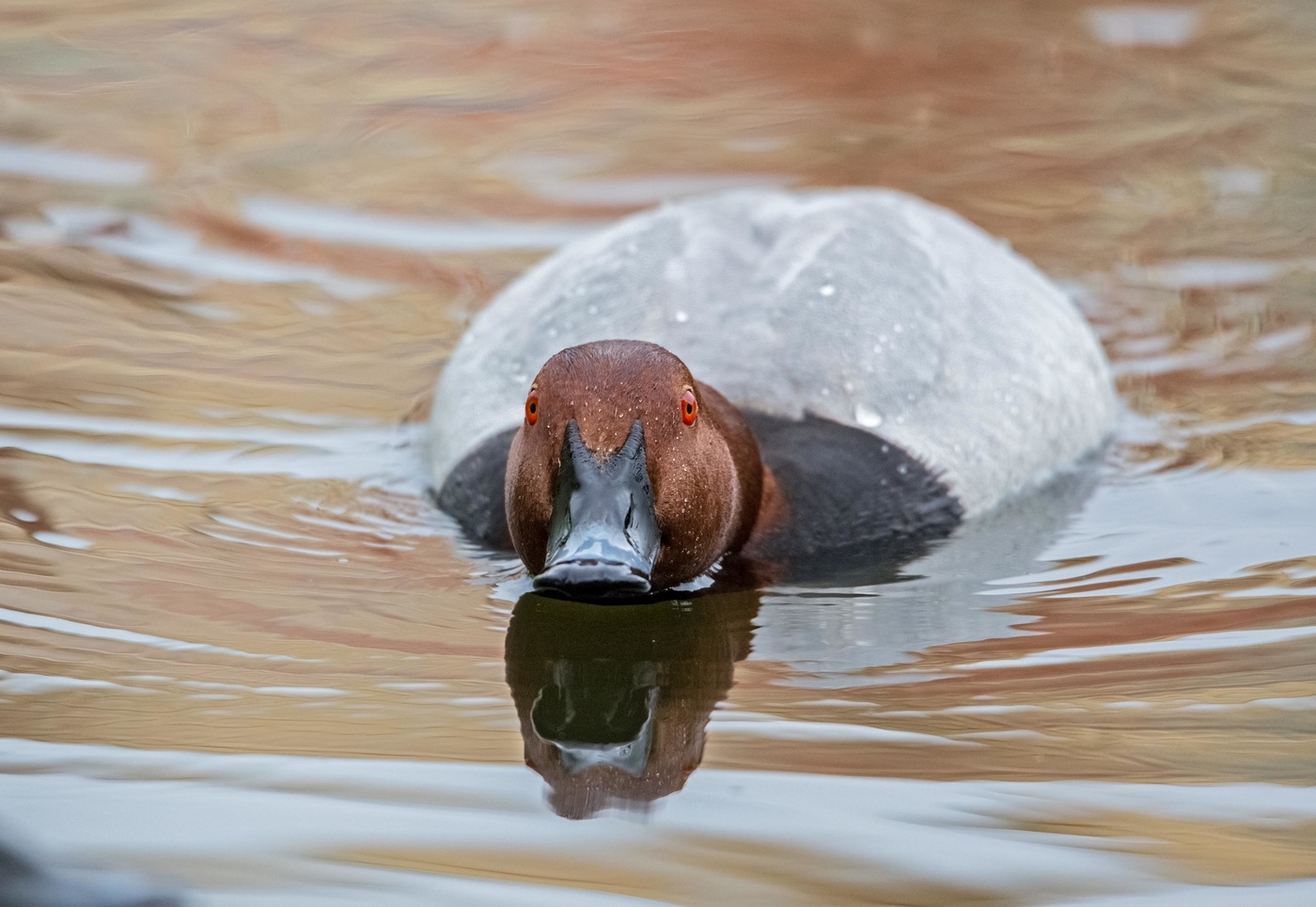 Не мой взгляд