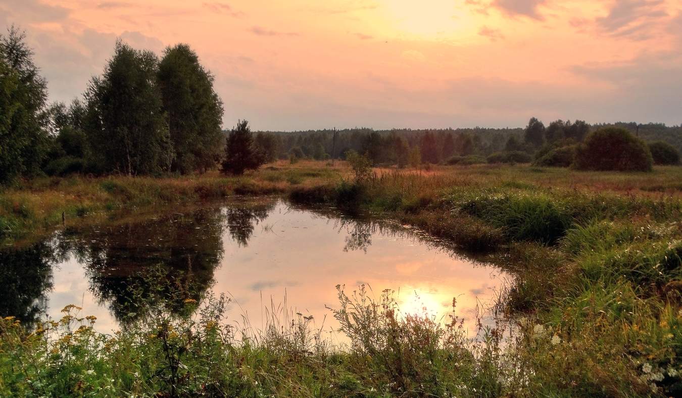 После грозы