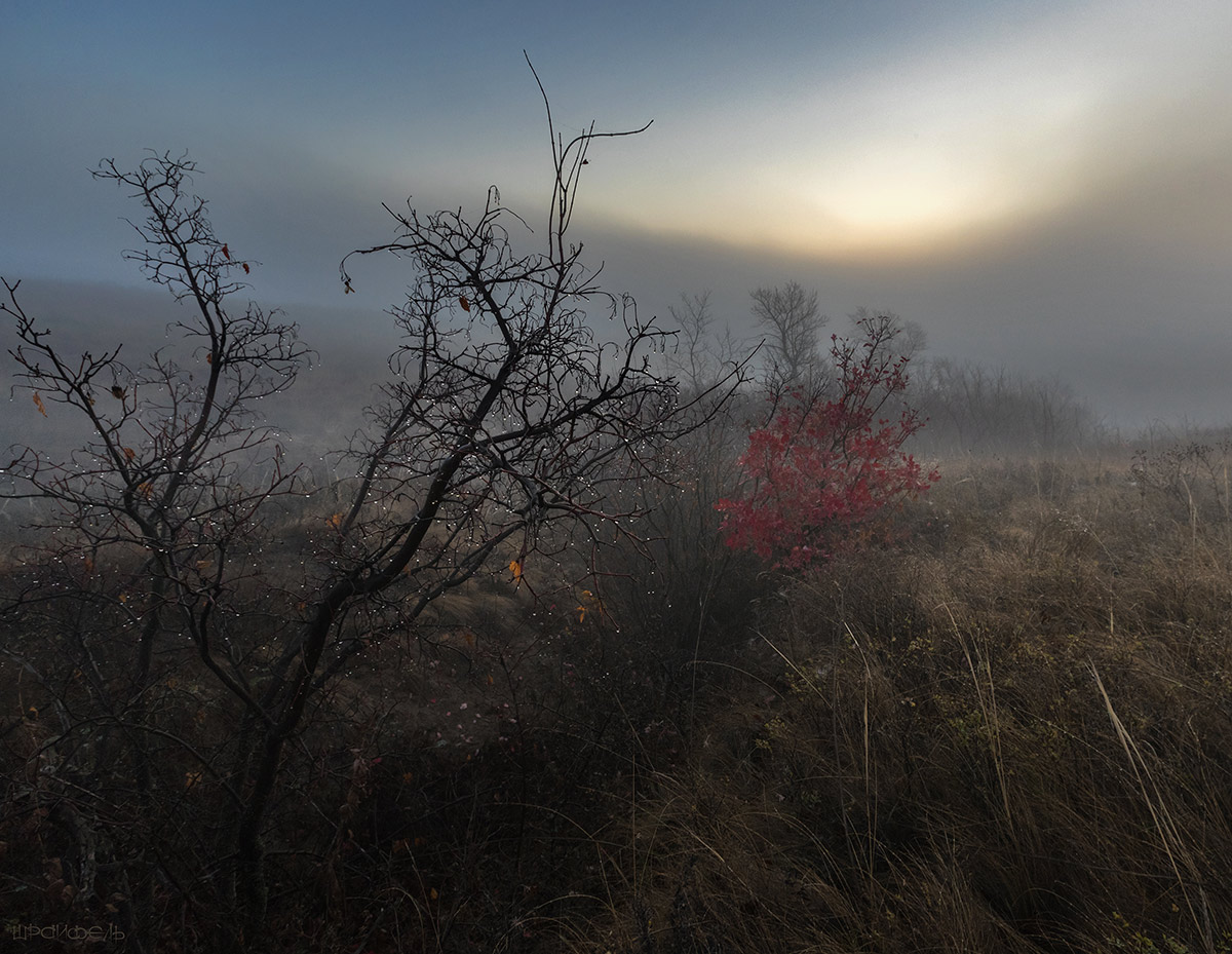 Мокрый рассвет