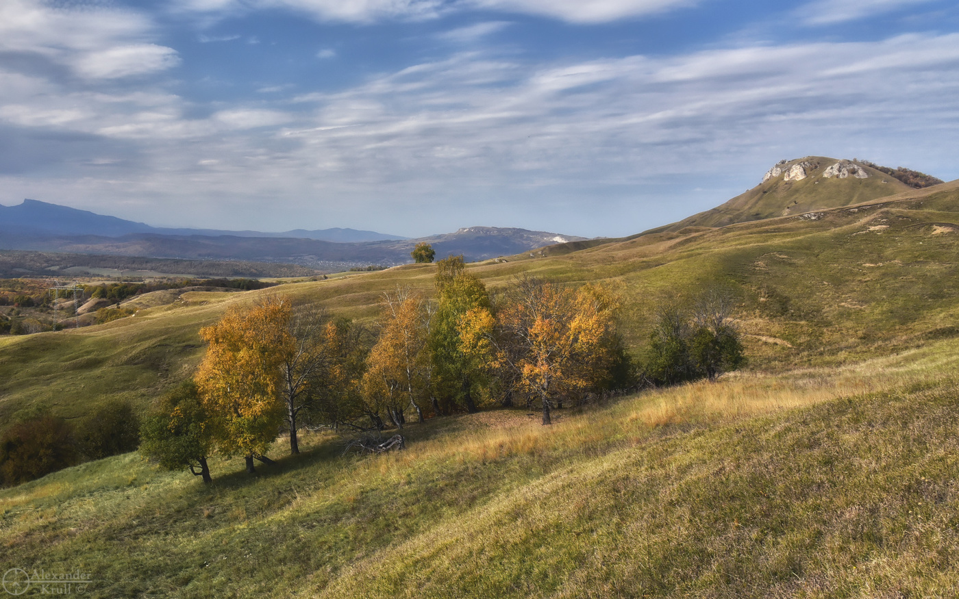 У октябрьских Шаханов...