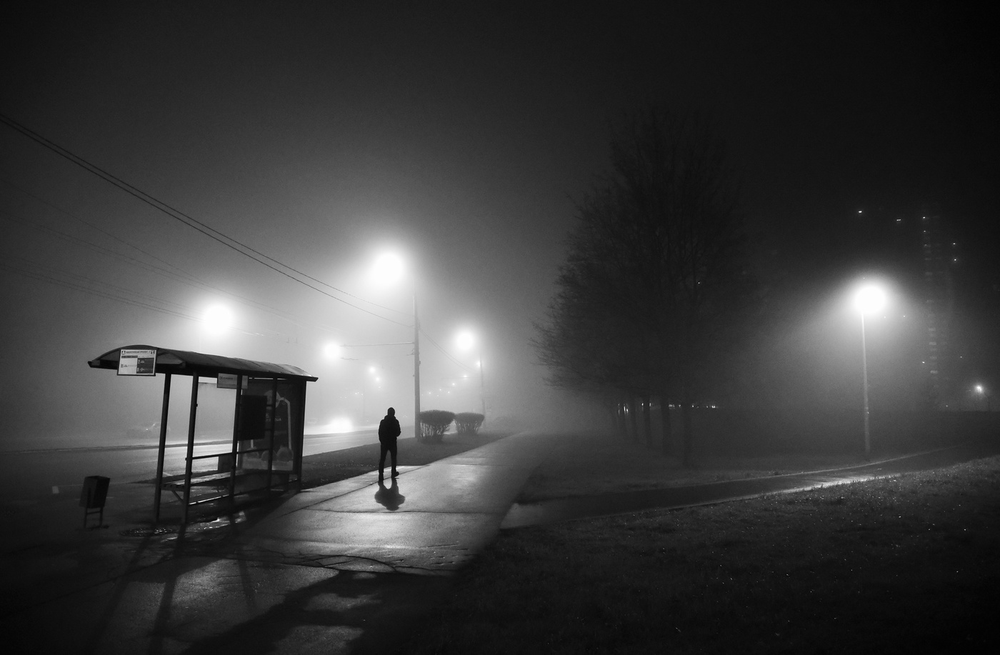 "Туман окутывает город, не узнаю его совсем..."