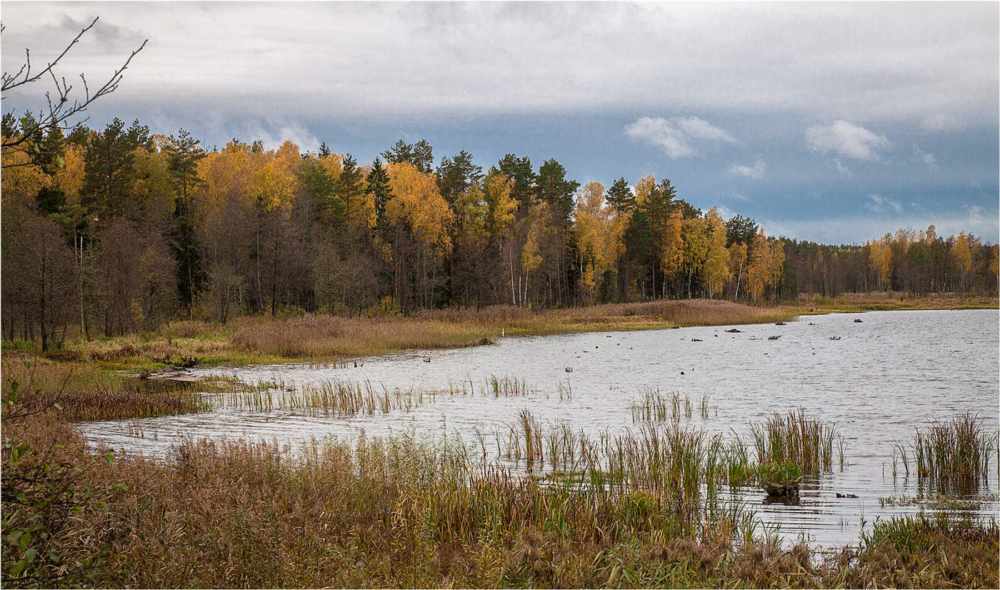 Вилейское водохранилище
