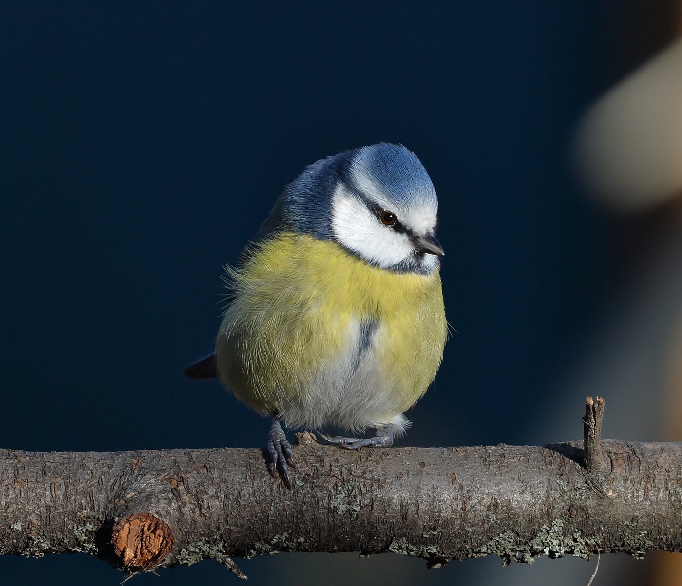 Сломанная ножка