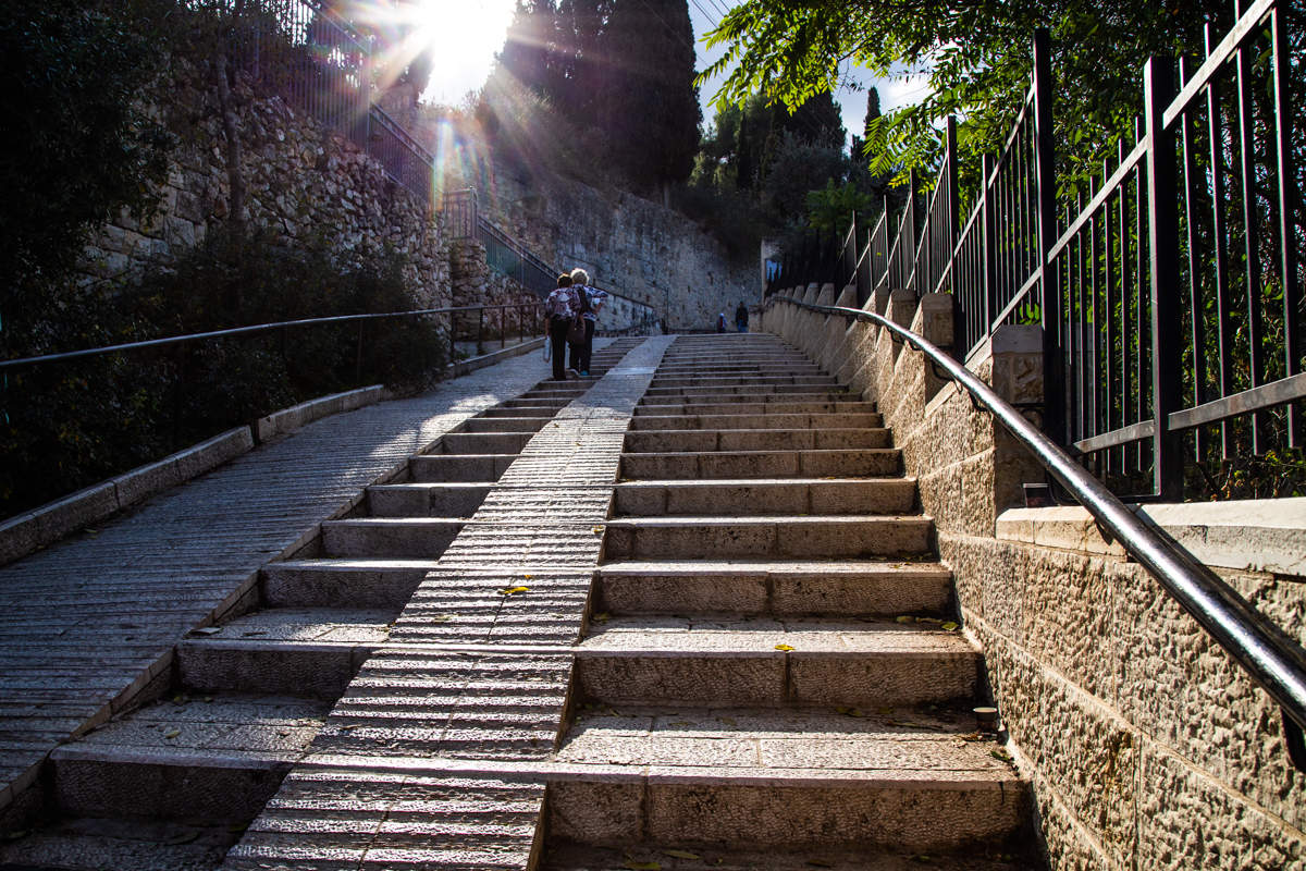 Дорога к храму