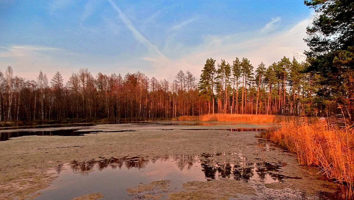 Осенняя вечерняя природа на озере