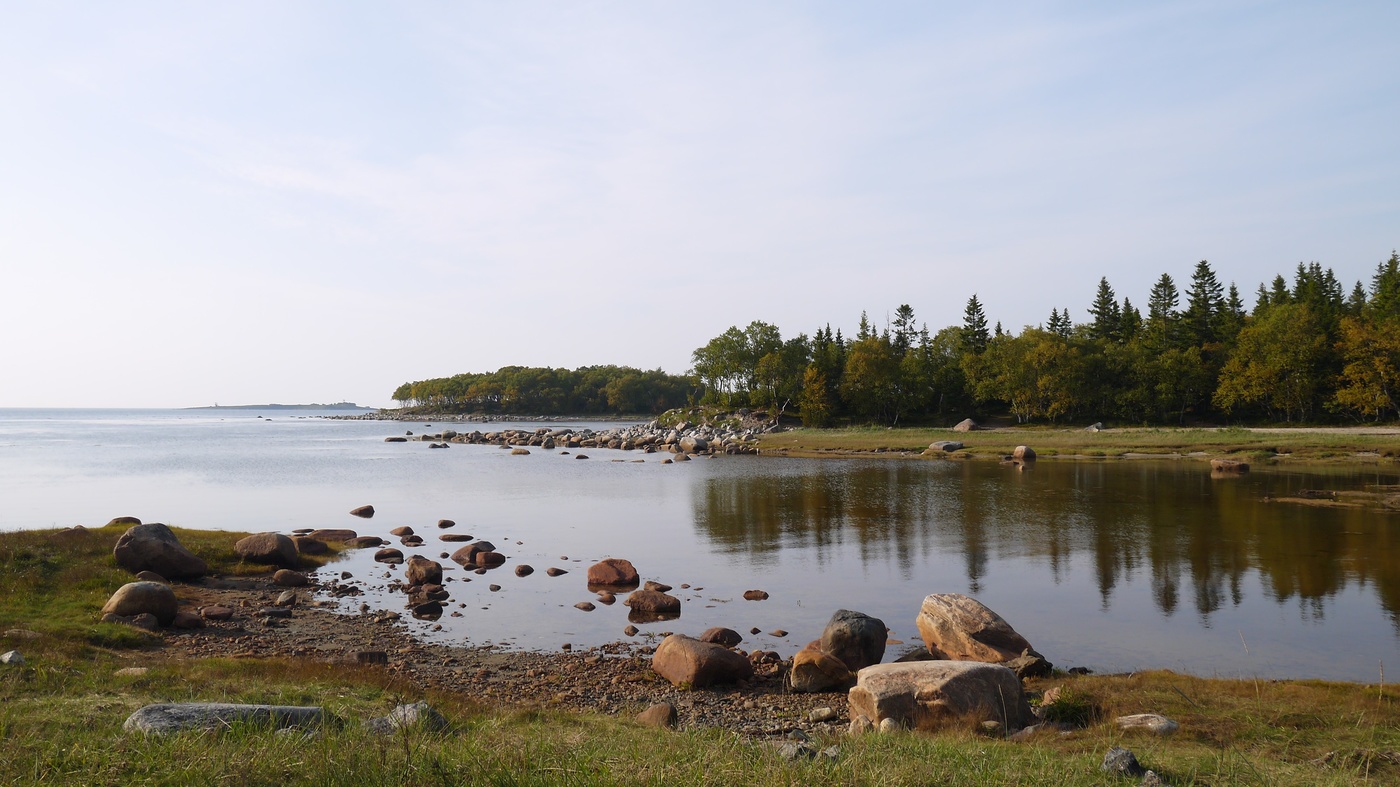 Мысы и заливы.