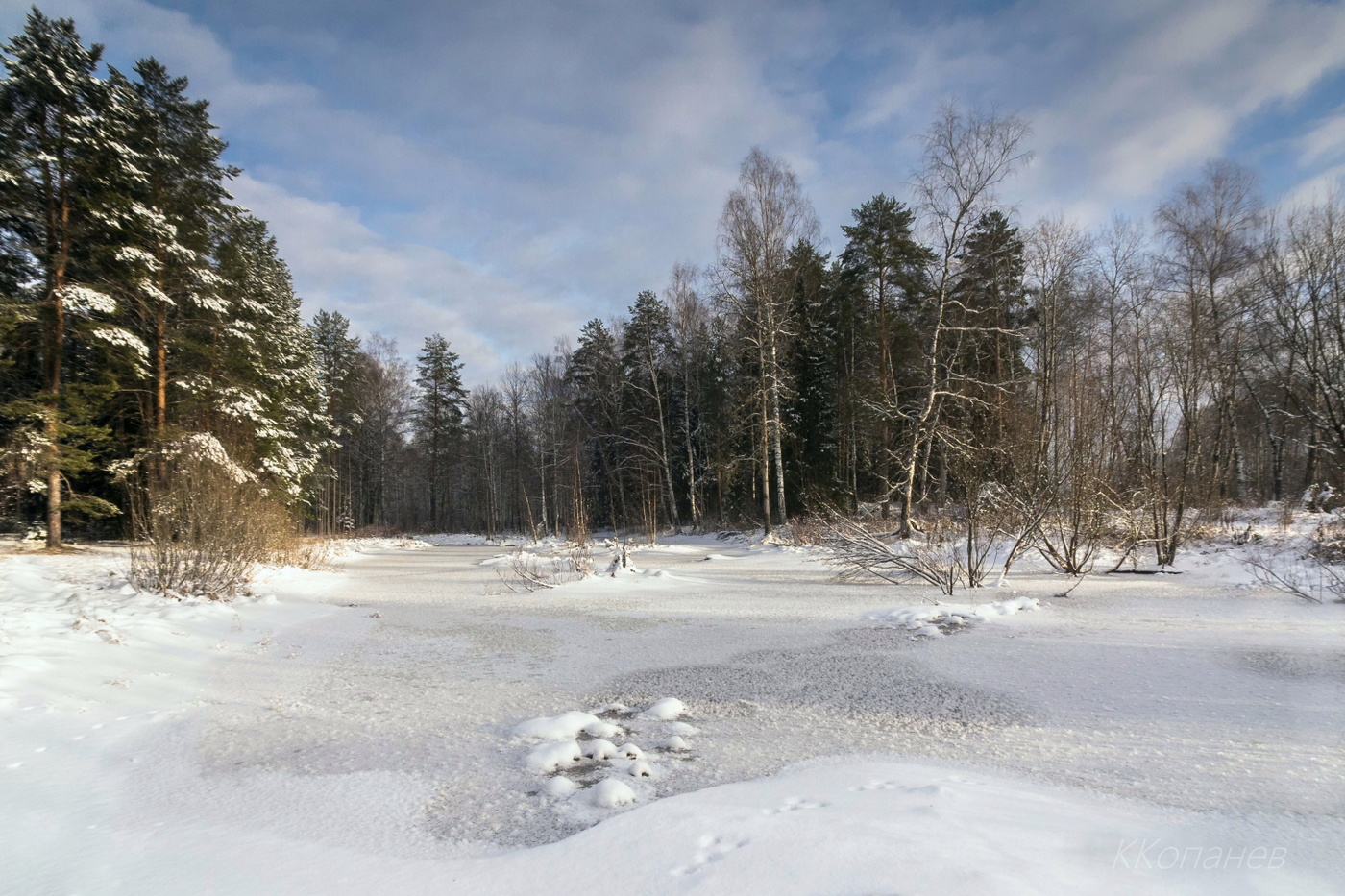 У лесной речушки