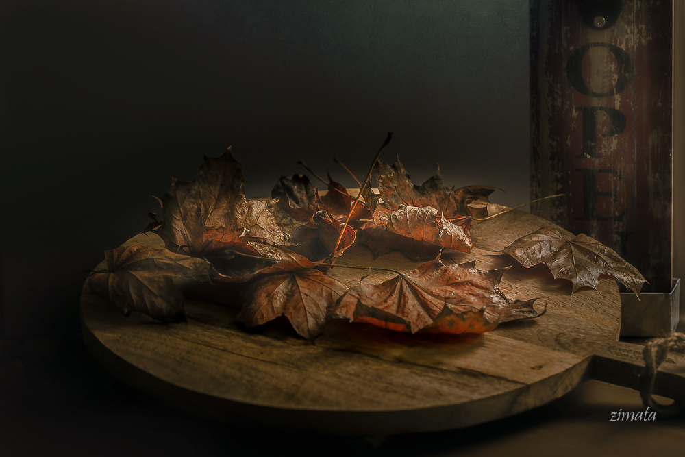 сухие листья - 2