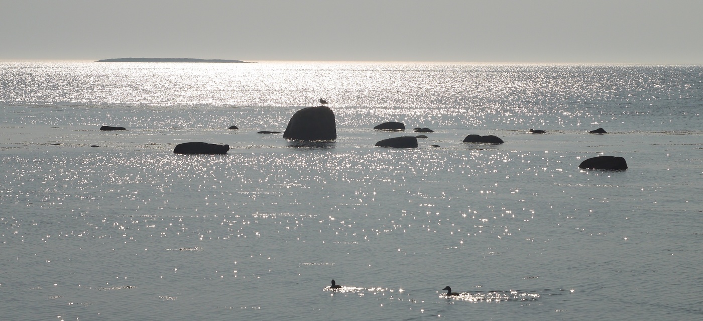 Море,Белое море...