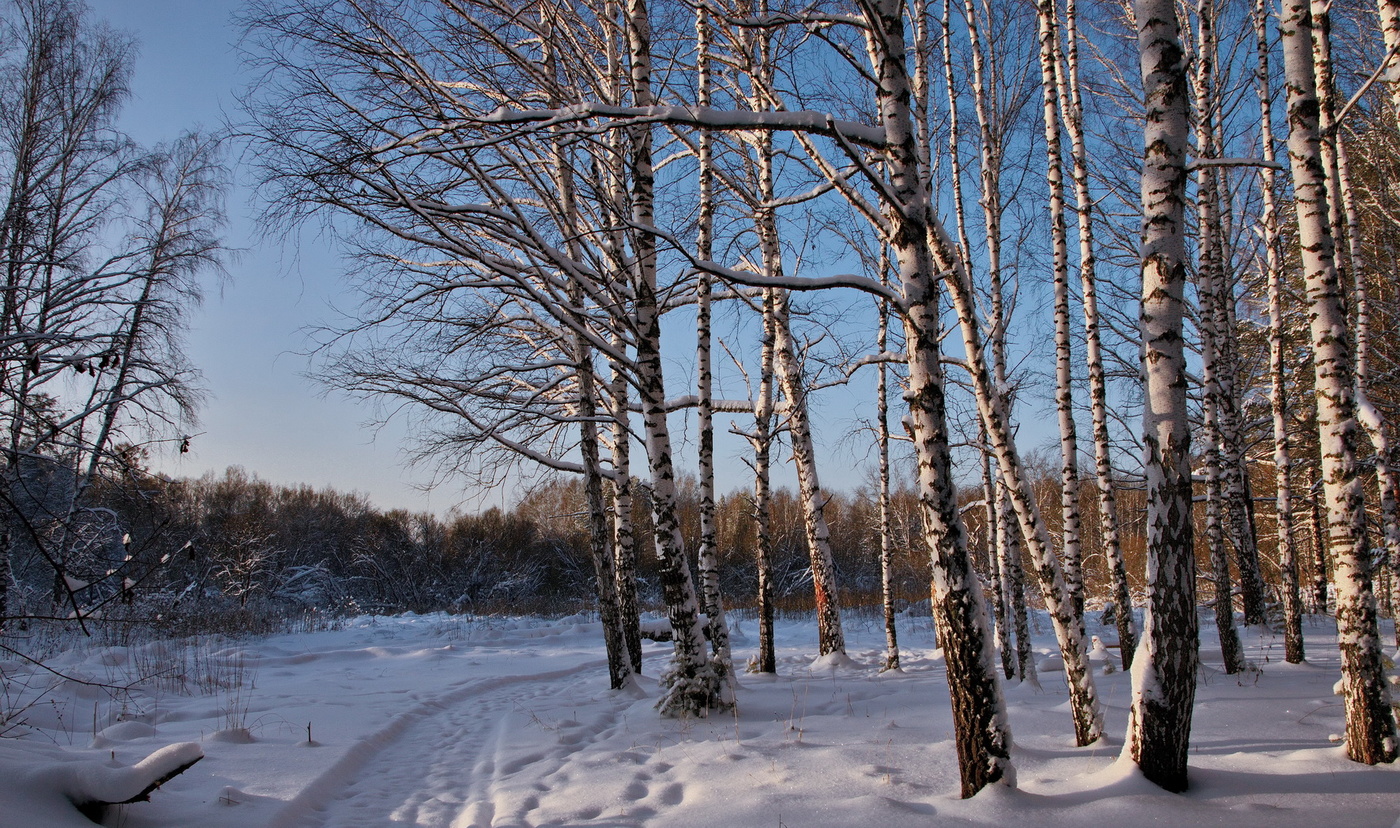 Ноябрьский полдень.