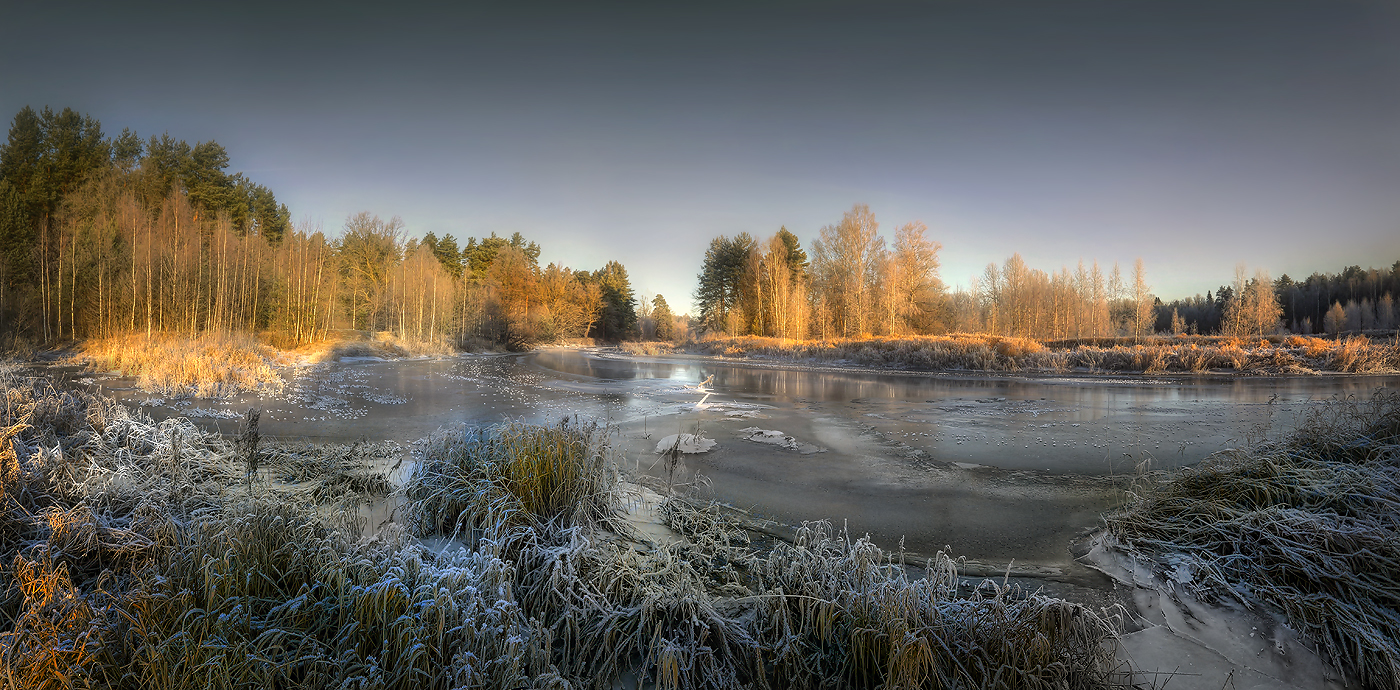 Простужен холодом ноябрь..