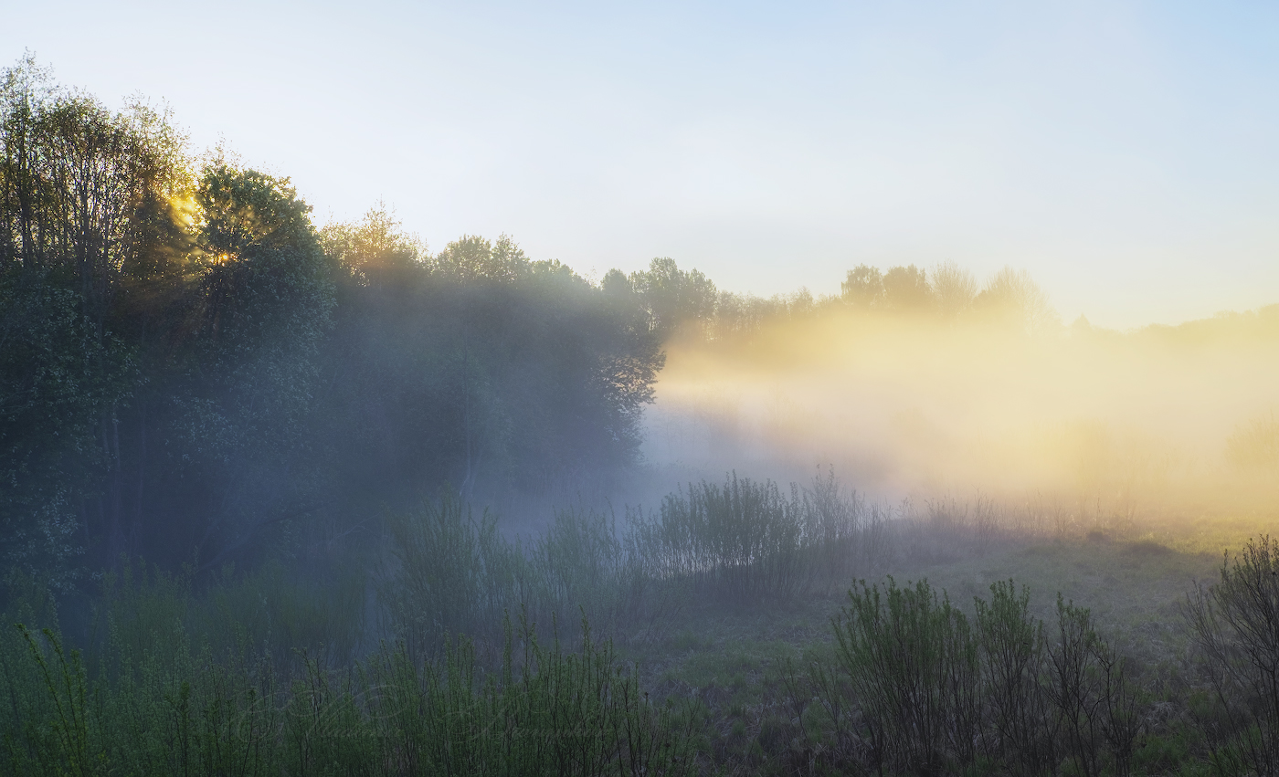 Солнечная поляна