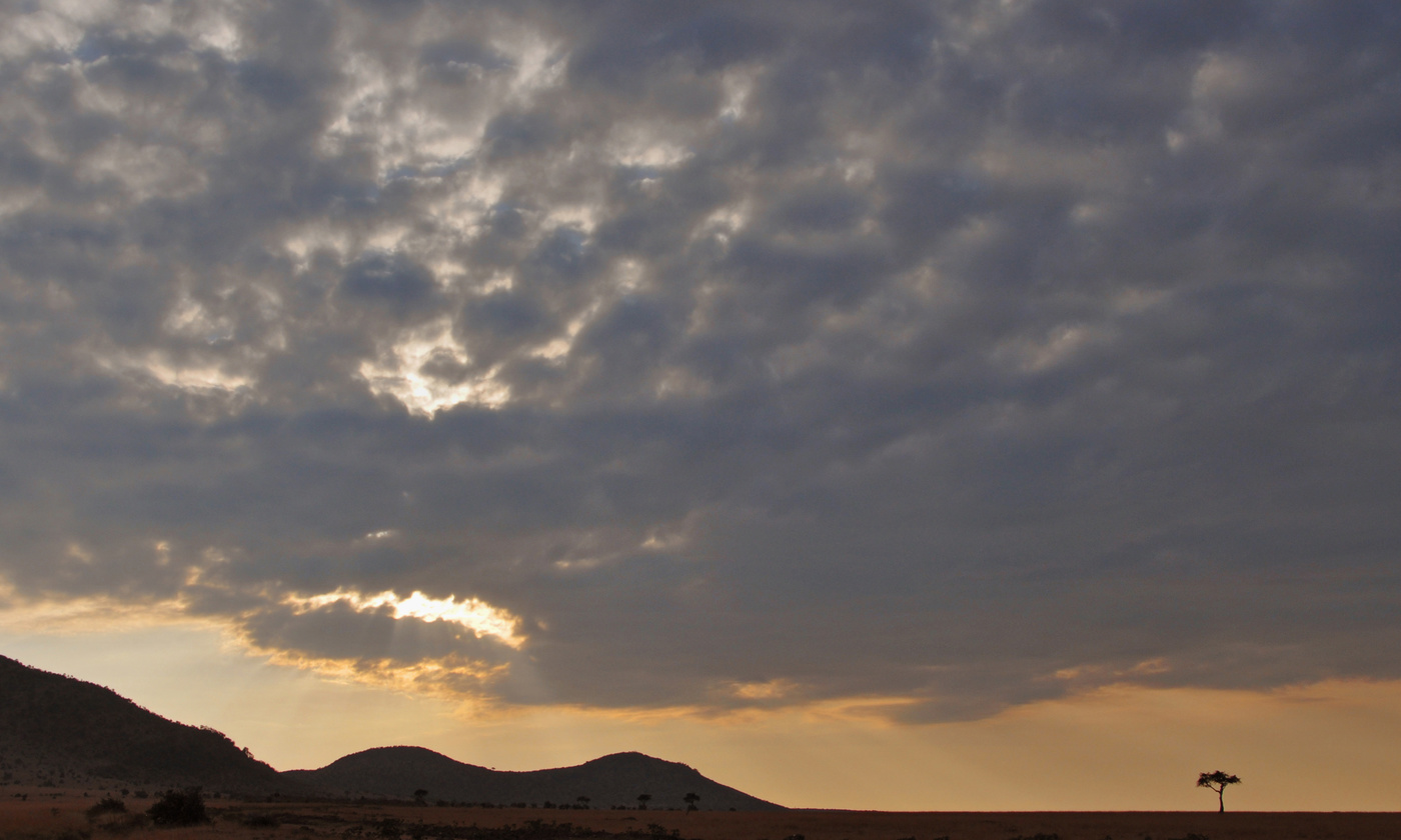 Одиночество