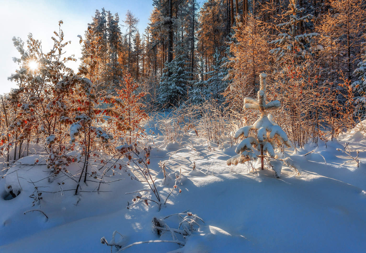 Золото осени и серебро зимы