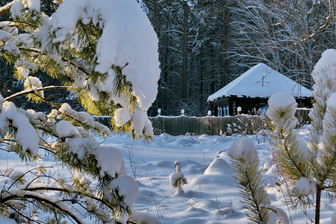 Лесная заимка.