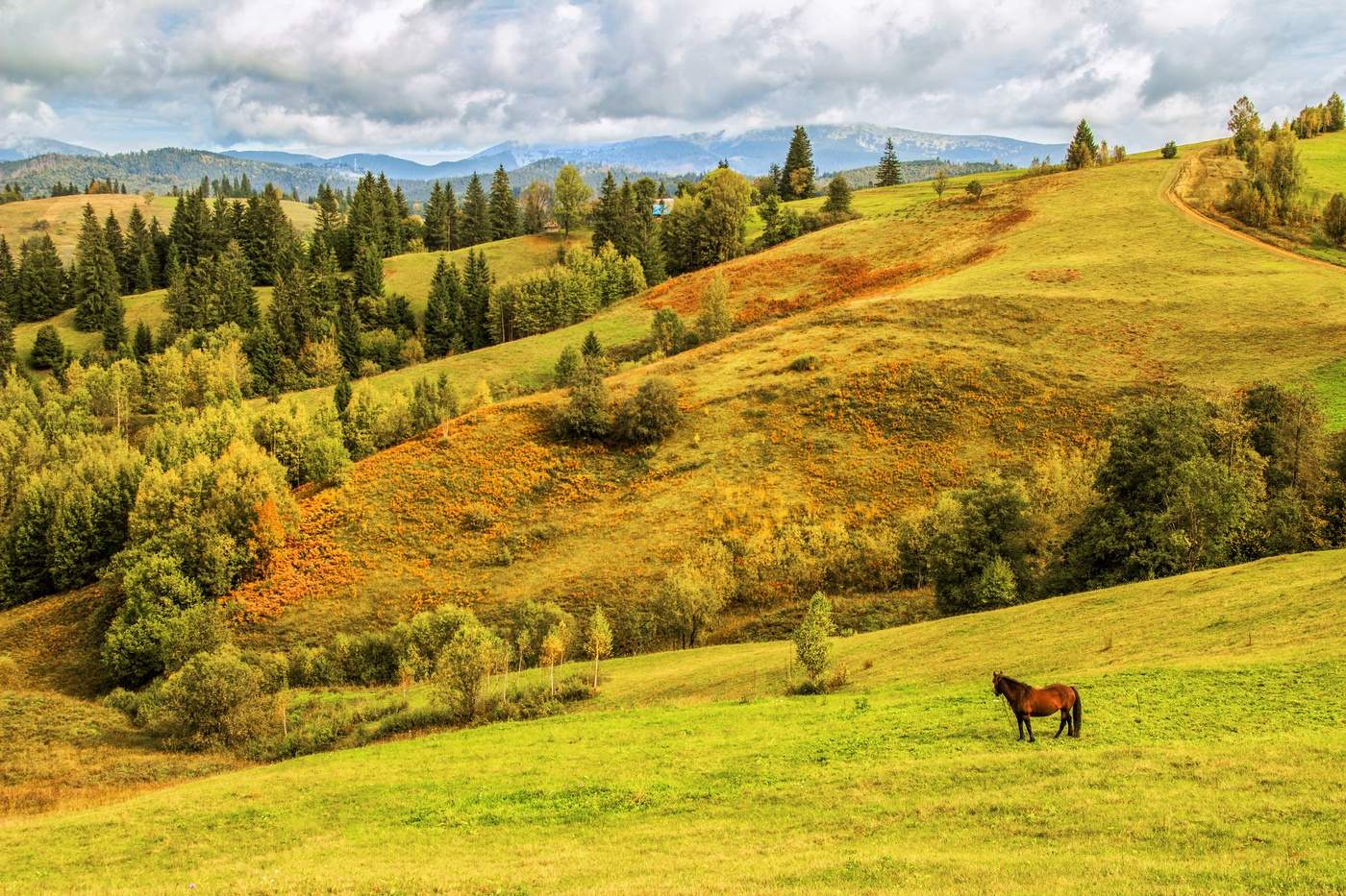 Закарпатская осень, сентябрь
