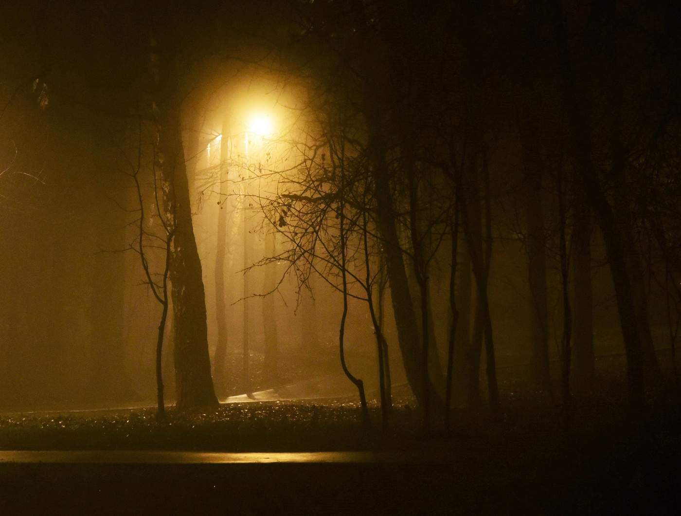 "Ночь завернулась в туман ..."