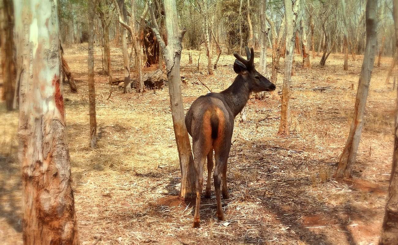 Обратил внимание