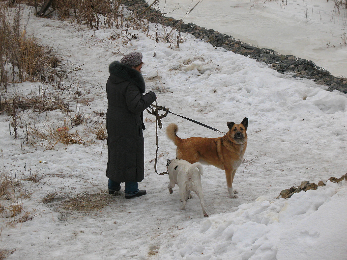 Обратил внимание