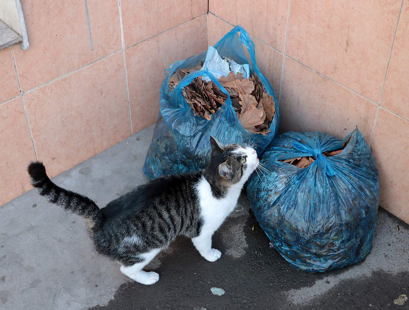 Обратил внимание