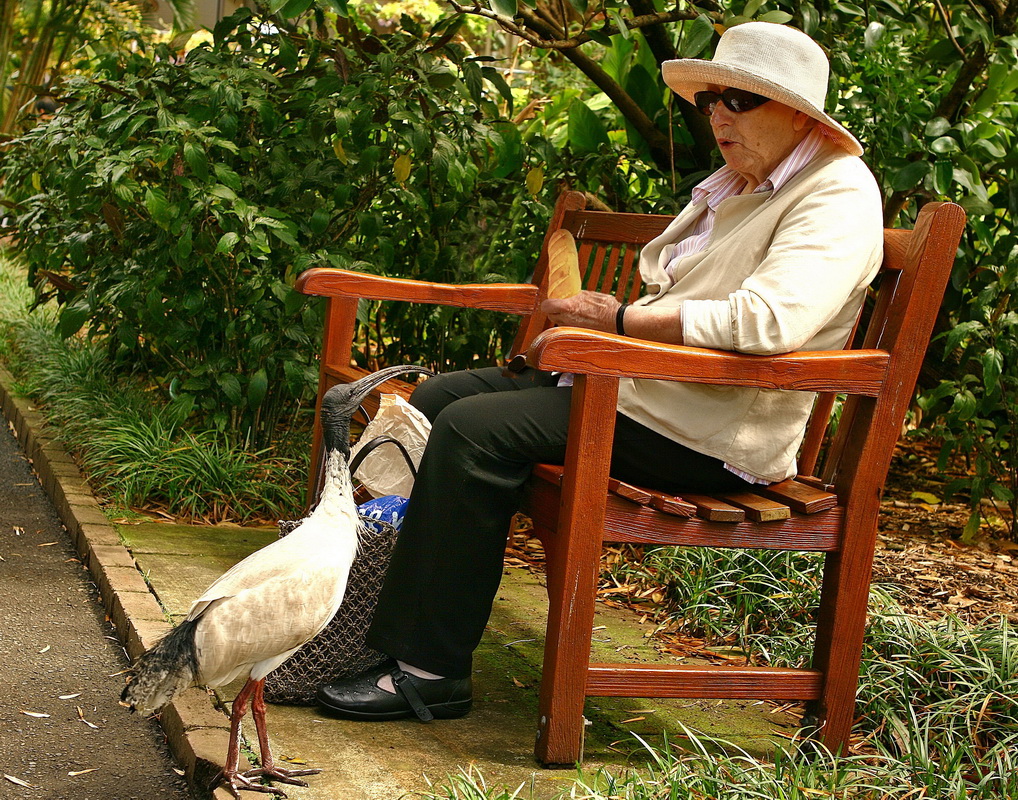 Обратил внимание