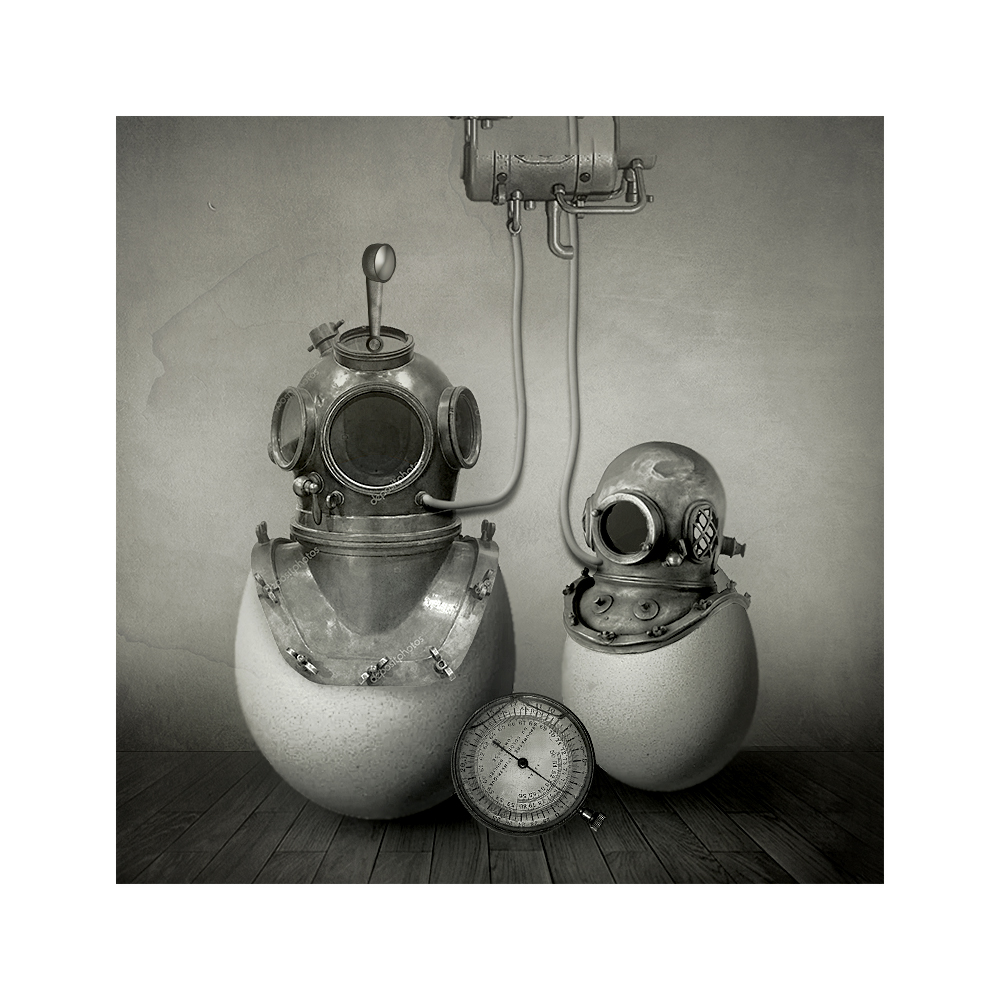 птенцы водолаза