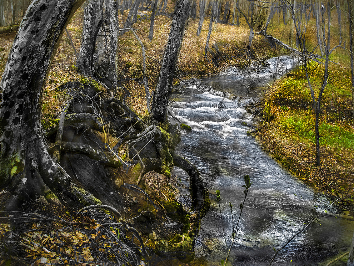 Сброшенные одежды