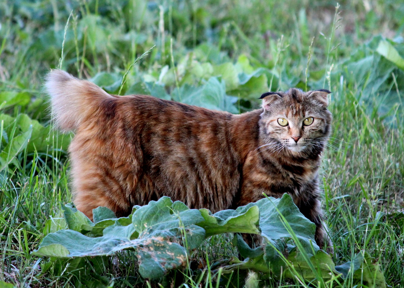 Обратил внимание