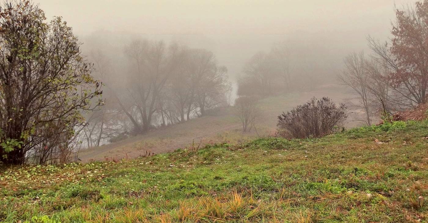 Осень, день в тумане